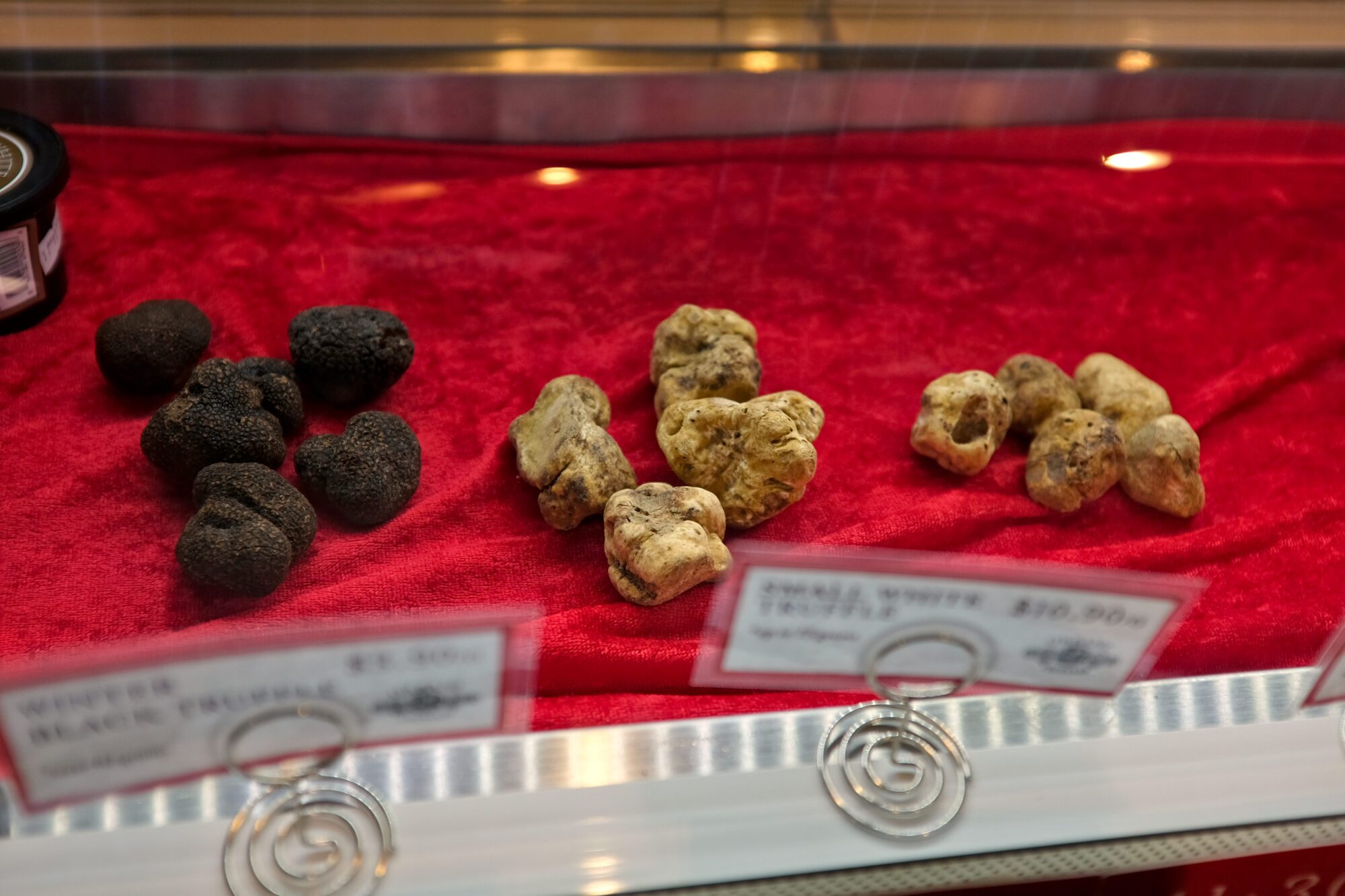 Boston and Cambridge, Unfiltered: A Short Urban Escape Truffles at Eataly